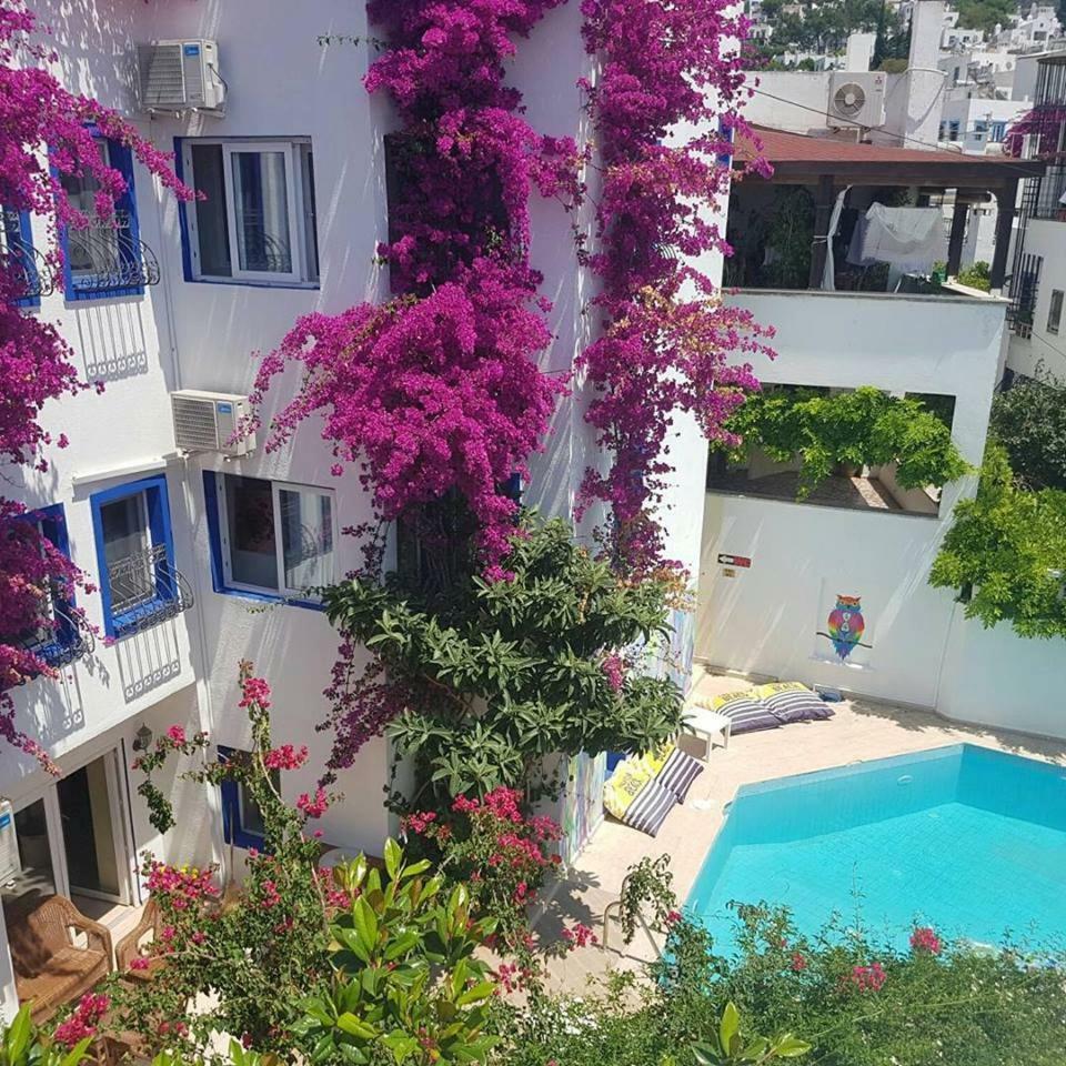 Eskici Hostel בודרום מראה חיצוני תמונה